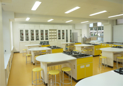 �Z�p���� �Z�p���E�֎q�E�w�ʌ˒I