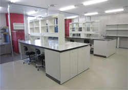 ���Ȏ� ������E���[�Ƌ�