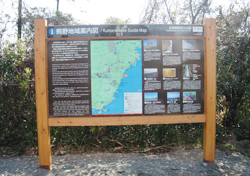 �T�C���V�X�e���i�l�C�`���[�T�C���j