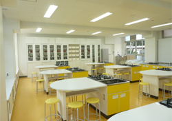 �{�݉Ƌ�/������